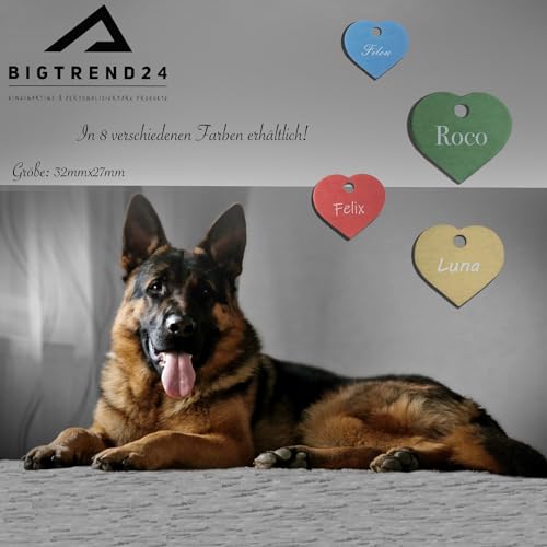Marke aus Aluminium mit Gravur für Hunde-Katzen-Schlüssel-Anhänger-Tier-Marke-Herz