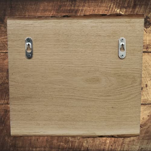 Warnschild Vorsicht Freilaufende Katze, Tür geschlossen halten, Holz Schild Katzenschild Liegend 30x27cm