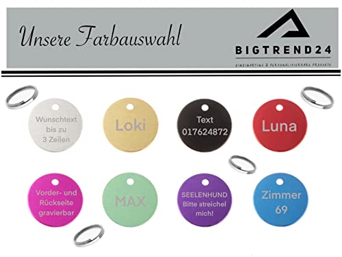 Hundemarke Katzenmarke Haustiermarke Namensmarke Aluminium Mit Gravur 4 Farben